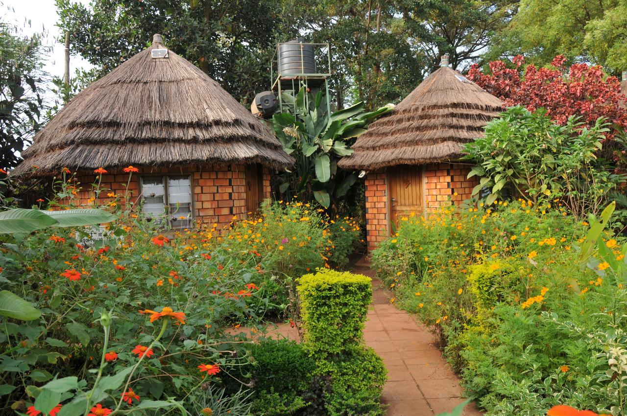 New Court View Hotel Masindi Exterior foto